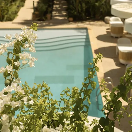 Les Palmiers Boutique Hotel & Spa-3